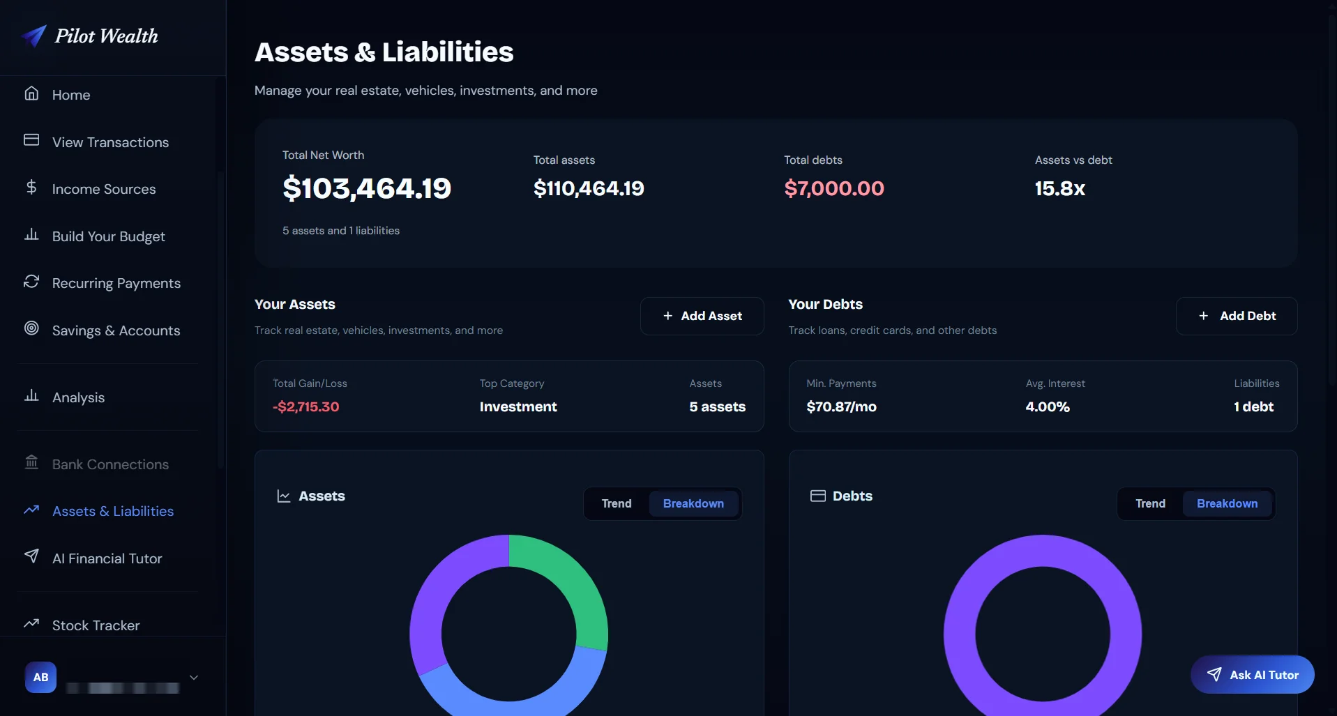 Pilot Wealth assets and net worth breakdown